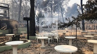 Φωτιές Εύβοια: Πληθαίνουν τα μέτωπα - Νέες εκκενώσεις χωριών – 250.000 καμένα στρέμματα ως τώρα