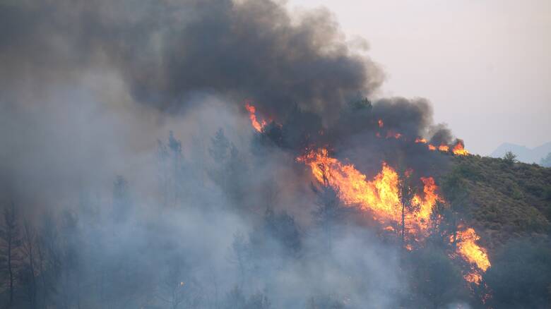 Φωτιές: Αναλυτικά τα μέτρα ανακούφισης και στήριξης των πυρόπληκτων