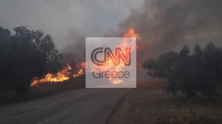Φωτιά Εύβοια: Καίγονται σπίτια σε Κήρινθο και Στροφυλιά - Εκκενώνονται τρεις ακόμα οικισμοί