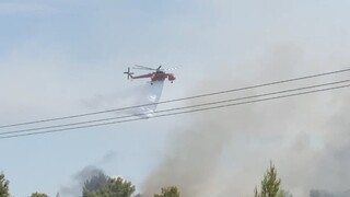 Φωτιά Θεολόγος: Αγώνας πυροσβεστικής και εθελοντών για να μη μπει η φωτιά στη Μαλεσίνα