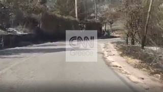 Φωτιές Αττική - Το CNN Greece στον Άγιο Στέφανο: Εικόνα απόλυτης καταστροφής