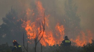 Φωτιά στην Ηλεία: Αναζωπύρωση στη Νεμούτα - Νέο μεγάλο μέτωπο απειλεί σπίτια