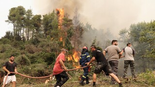 Φωτιές Εύβοια: Σοβαρές αναζωπυρώσεις και αλλεπάλληλες εκκενώσεις - Κραυγή αγωνίας από τις Μηλιές
