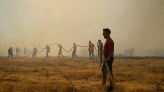 Γερμανικός Τύπος για πυρκαγιές: Η φύση υπενθυμίζει σε Ελλάδα και Τουρκία πόσο κοντά είναι