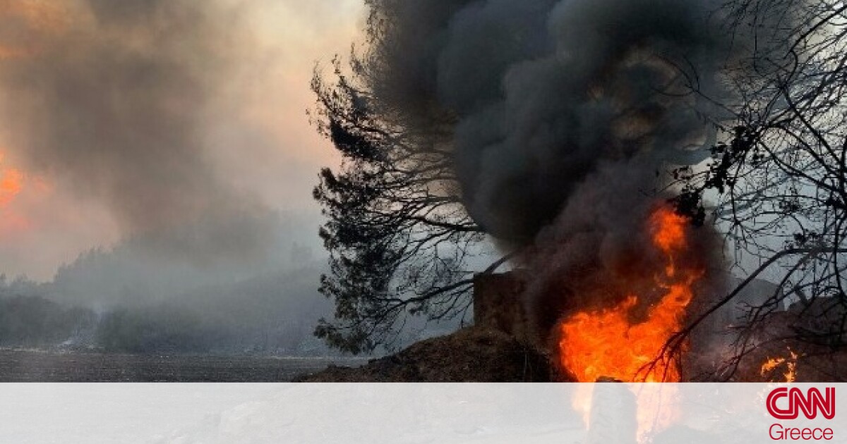 Φωτιές Εύβοια: Σαρώνει η πύρινη λαίλαπα – Στις φλόγες Βασιλικά και Βούτας