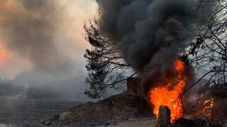 Φωτιές Εύβοια: Σαρώνει η πύρινη λαίλαπα - Στις φλόγες Βασιλικά και Βούτας