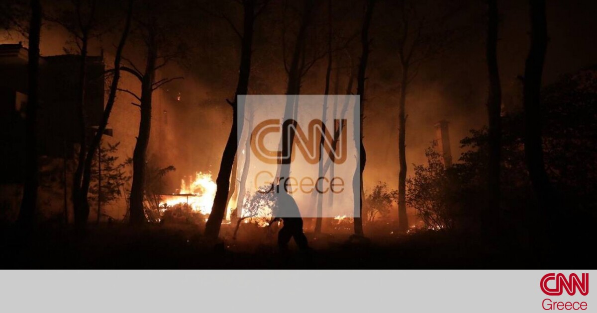 Φωτιές Εύβοια: Οι φλόγες έφθασαν σε Μονοκαρυά και Βασιλικά – Ολονύχτια μάχη για την Ιστιαία