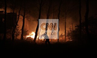 Φωτιές Εύβοια: Κινδυνεύουν πέντε χωριά - Ολονύχτια μάχη με τις φλόγες