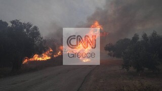 Φωτιά Εύβοια: Σε κίνδυνο αρκετά χωριά του νησιού - Τιτάνια μάχη με τις φλόγες