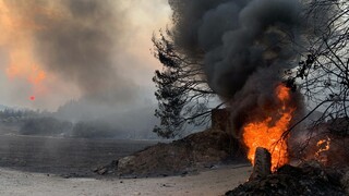 Φωτιές: Στην Εύβοια ψυχολόγοι και κοινωνικοί λειτουργοί για τη στήριξη των πυρόπληκτων
