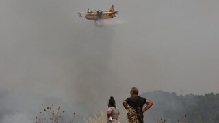 Φωτιές: Ποιες χώρες έστειλαν πυροσβέστες, διασώστες και αεροσκάφη στην Ελλάδα