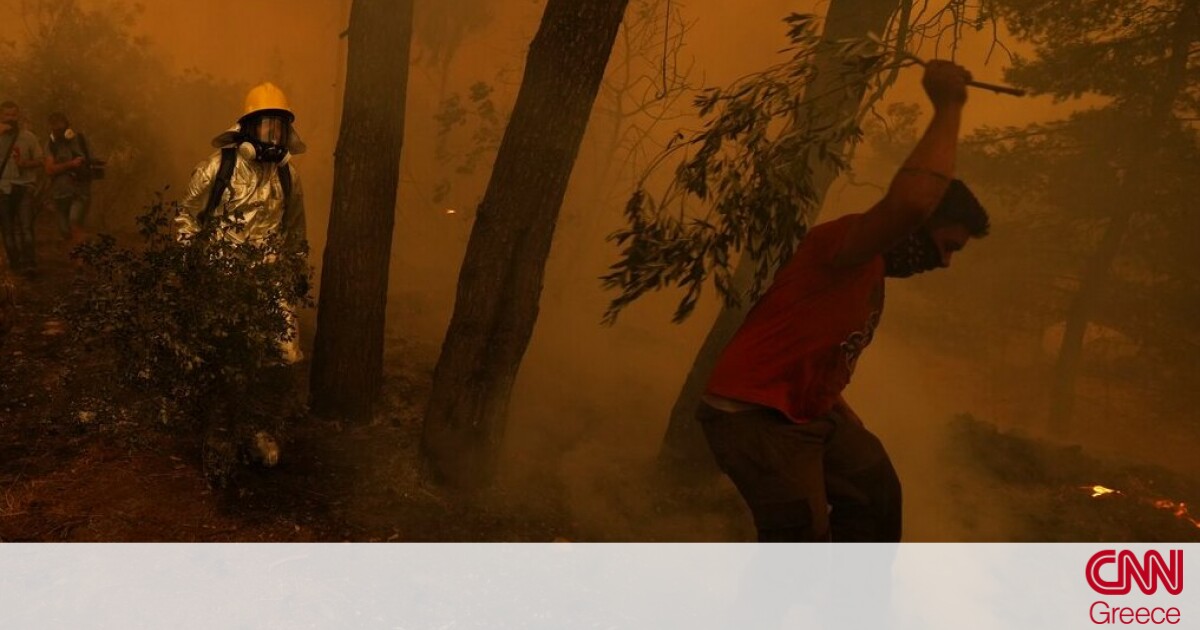 Φωτιές Εύβοια: Νέο βράδυ αγωνίας στα πύρινα μέτωπα – Ηρωική μάχη για να σωθούν τα σπίτια