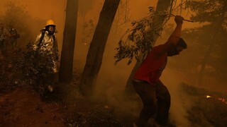 Φωτιές Εύβοια: Νέο βράδυ αγωνίας στα πύρινα μέτωπα - Ηρωική μάχη για να σωθούν τα σπίτια