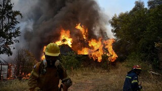 Φωτιές: Σε διαθεσιμότητα ταξίαρχος της ΕΛ.ΑΣ που ζητούσε πολιτικό μέσο για να στείλει πυροσβεστικό