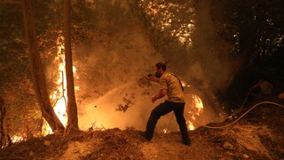 Φωτιά - Ανατολική Μάνη: Με επίγειες δυνάμεις η κατάσβεση στην δύσβατη Δεσφίνα