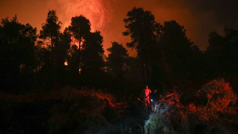 Φωτιά Αρκαδία: Δύσκολη νύχτα στη Γορτυνία - Μάχη με τις αναζωπυρώσεις - CNN.gr