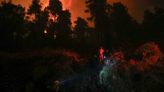 Φωτιές Πελοπόννησος: Μαίνεται το μέτωπο σε Μεγαλόπολη, Ανατ. Μάνη και Μεσσηνία