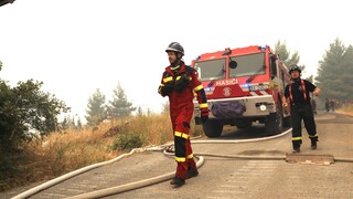 DW: Οι Γερμανοί πυροσβέστες στην Ελλάδα - Δωρεά πυροσβεστικού στην Εύβοια