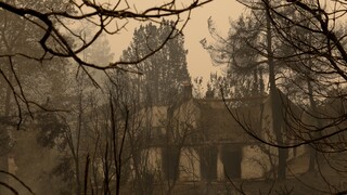 Πυρκαγιές - Θωμαϊδης: Θα χρειαστεί αρκετός καιρός να καθαρίσει η ατμόσφαιρα από τα μικροσωματίδια