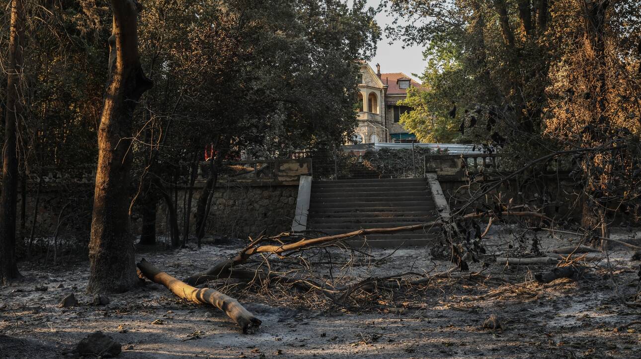 Φωτιά στο Τατόι - Μενδώνη: Ζημιές σε επτά κτήρια - Μικρές απώλειες σε μνημεία
