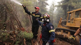 Φωτιά Εύβοια: Σταμάτησαν στη θάλασσα οι φλόγες στο Αγριοβότανο - Καλύτερη εικόνα στο Ασμήνι