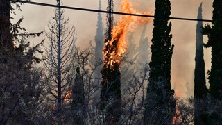 Φωτιές: Έξι εστίες σε Μάνδρα και Πόρτο Γερμενό λόγω κεραυνών