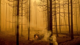 Καλιφόρνια: Ένα μήνα μαίνεται η πυρκαγιά Ντίξι - Στάχτη εκατοντάδες κατοικίες