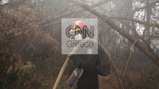 Φωτιά Εύβοια - meteo.gr: «Στάχτη» 510.000 στρέμματα, 50.000 χάθηκαν μέσα σε τρεις ημέρες