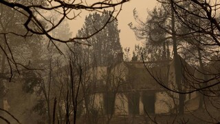 Φωτιές: Ένα εκατομμύριο στρέμματα κάηκαν σε δύο εβδομάδες, τα μισά στην Εύβοια