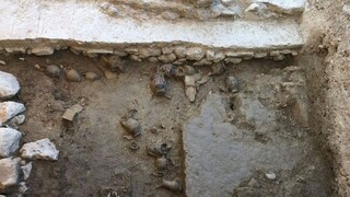 Ελληνο-ελβετικές ανασκαφές στο ιερό της Αμαρυσίας Αρτέμιδος στην Αμάρυνθο