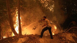 Αστεροσκοπείο: Αύξηση 26% του αριθμού πυρκαγιών και 450% της καμένης έκτασης στην Ελλάδα φέτος