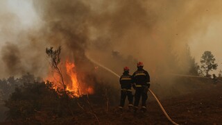 Φωτιά στη Μάνδρα: Πέντε αεροσκάφη επιχειρούν στο όρος Πατέρα