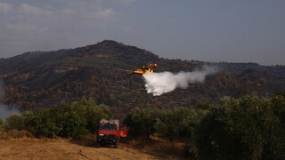 Φωτιά Μάνδρα: Δύσκολο το έργο των πυροσβεστών, οι άνεμοι ενισχύουν το μέτωπο