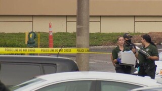 Φλόριντα: Νήπιο πυροβόλησε θανάσιμα γυναίκα ενώ βρισκόταν σε τηλεδιάσκεψη  
