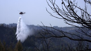 Νέα φωτιά ξέσπασε στις Πετριές της νότιας Εύβοιας - Πνέουν ισχυροί άνεμοι