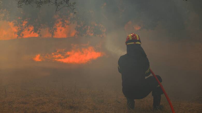 Υπό έλεγχο δύο νέες εστίες πυρκαγιάς σε Κέρκυρα και Καστοριά