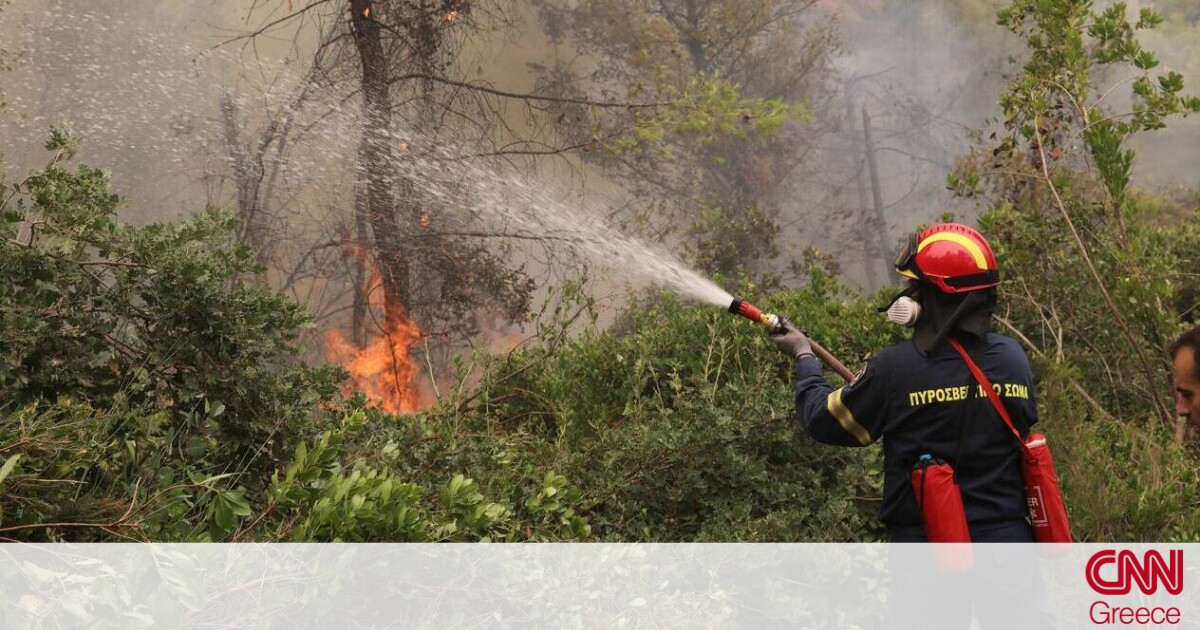 Πολύ υψηλός κίνδυνος πυρκαγιάς τη Δευτέρα σε Εύβοια, Αττική, Βοιωτία, Πελοπόννησο και Χίο