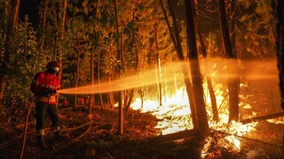 Πορτογαλία: Περίπου 600 πυροσβέστες αγωνίζονται να θέσουν υπό έλεγχο πυρκαγιά στην Αλγκάρβε