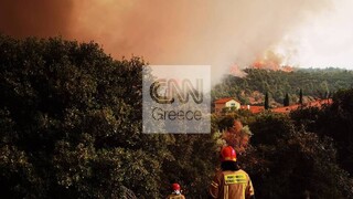 Φωτιά: Φλόγες περικύκλωσαν τα Βίλια - Υπεράνθρωπες προσπάθειες για την ανακοπή του μετώπου