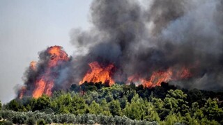 Πολιτική Προστασία: Πολύ υψηλός ο κίνδυνος πυρκαγιάς σε Αττική και Εύβοια την Παρασκευή