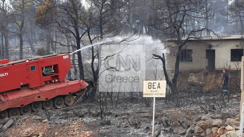 Φωτιά στα Βίλια: Τιτάνια μάχη των πυροσβεστών να ανακοπούν τα πύρινα μέτωπα