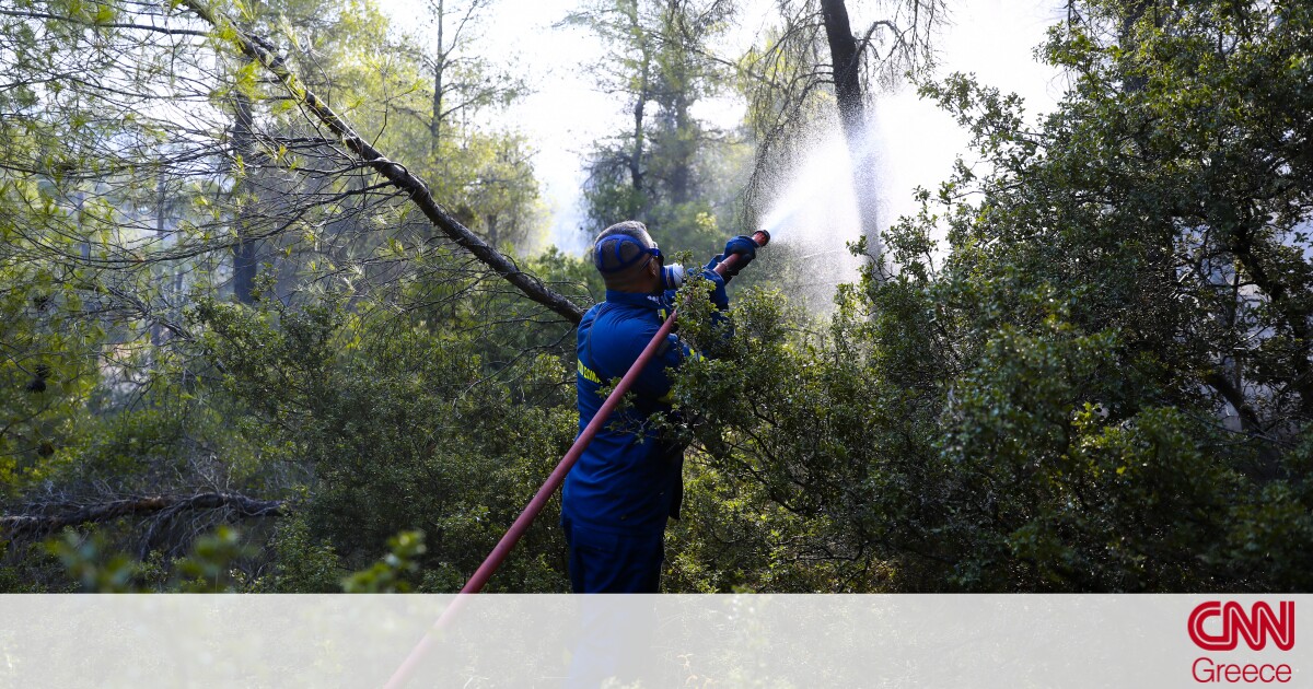 Φωτιά Βίλια: Στο μέτωπο προς Μέγαρα επικεντρώνεται η Πυροσβεστική – Μάχη με τις αναζωπυρώσεις