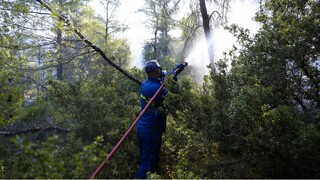 Φωτιά Βίλια: Στο μέτωπο προς Μέγαρα επικεντρώνεται η Πυροσβεστική - Μάχη με τις αναζωπυρώσεις