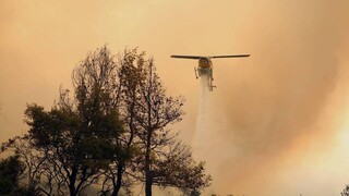 Φωτιά στην Ιεράπετρα: Ισχυρή δύναμη της πυροσβεστικής στην περιοχή