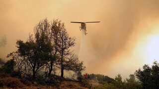 112: Ακραίος κίνδυνος πυρκαγιάς την Κυριακή σε Αττική και Εύβοια - Απαγορεύεται η πρόσβαση σε δάση