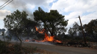 Πολύ υψηλός κίνδυνος πυρκαγιάς σε πέντε Περιφέρειες τη Δευτέρα