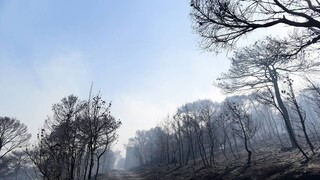 Πολύ υψηλός κίνδυνος πυρκαγιάς και αύριο για τρεις Περιφέρειες