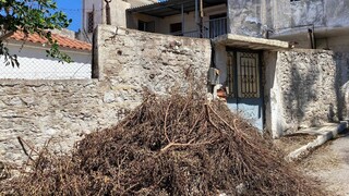 Κυπαρισσία: Στη 42χρονη Μόνικα ανήκει πιθανόν η σορός που βρέθηκε τσιμεντωμένη στη αυλή του σπιτιού