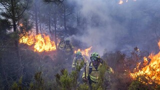 Ισπανία: Υπό έλεγχο με την βοήθεια της βροχής η μεγάλη δασική πυρκαγιά στην Ανδαλουσία