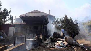 arogi.gov.gr: Σήμερα η πληρωμή 717 δικαιούχων που επλήγησαν από τις πυρκαγιές
